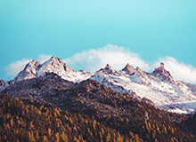 KOK体育-穆雷27+6小波特38+10 掘金主场险胜篮网